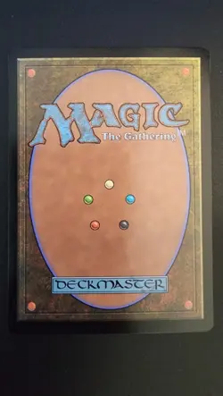 Kitsa, Otterball Elite (Showcase) Bloomburrow Foil - Image 5