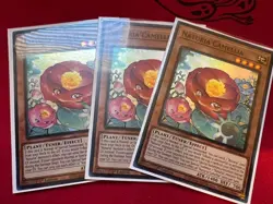 Yu-Gi-Oh! TCG Naturia Deck Core -High Rarity- - Image 2
