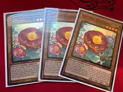 Yu-Gi-Oh! TCG Naturia Deck Core -High Rarity- - Image 6