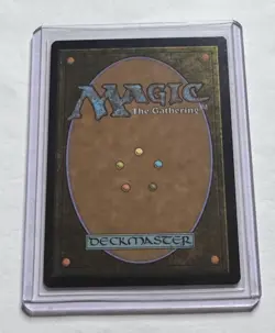The Wandering Rescuer #41 Duskmourn House of Horror Mythic MTG NM/M - Image 2