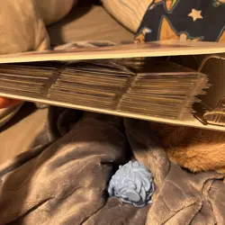 Binder Full Of Poison Type Pokémon Cards - Image 1