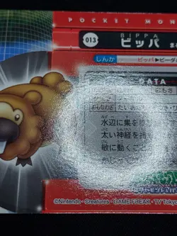 Bidoof - ZUKAN CARDDASS Pocket Monsters 2005 - Japanese Pokemon NM-M - Image 13