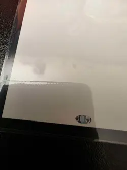 Blank Card Misprint with Rare Stamp (NM) Magic The Gathering - Image 2