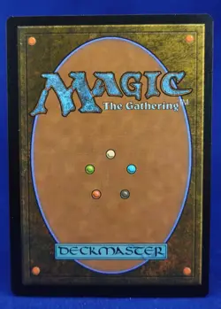 Coat of Arms - MTG - Double Rainbow Secret Lair Drop Foil - Everyones Invited NM - Image 2