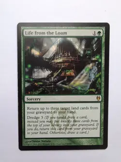 MTG Life from the Loam (DDJ) Duel Decks: Izzet vs. Golgari Regular Rare 69/90 - Image 1