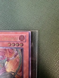 Yugioh Koa’ki Meiru Gravirose ANPR-EN083 Ultimate Rare NM - Image 4