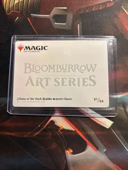 Mtg Liliana Of The Dark Realms Art Card GS Signature - Bloomburrow+Bonus Foils - Image 8