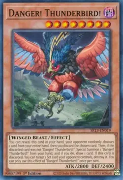 Danger! Thunderbird! - SR13-EN019 - Common - 1st Edition NM YuGiOh!  Structure D - Image 1