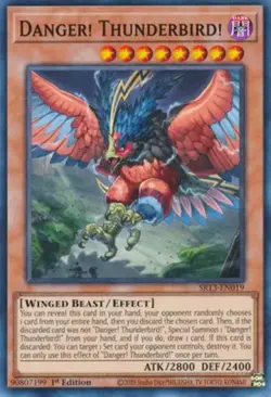 Danger! Thunderbird! - SR13-EN019 - Common - 1st Edition NM YuGiOh!  Structure D - Image 2