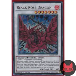 Yugioh Black Rose Dragon DUSA-EN077 Ultra Rare 1st Edition NM - Image 1