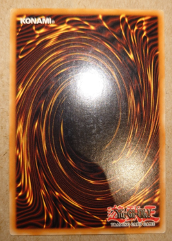 Vorse Raider - Secret Rare - Limited Edition - CT2-EN003 - Image 4