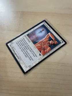 Damping Field Antiquities Regular - Image 14