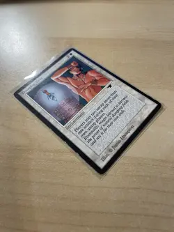 Damping Field Antiquities Regular - Image 7