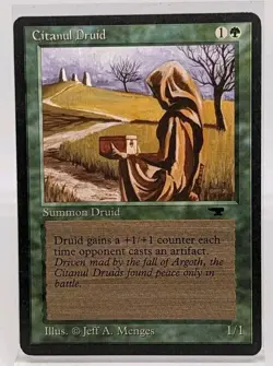 Citanul Druid Antiquities Regular - Image 1