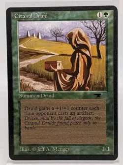 Citanul Druid Antiquities Regular - Image 5