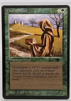 Citanul Druid Antiquities Regular - Image 6