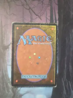 Oasis Arabian Nights Regular - Image 6