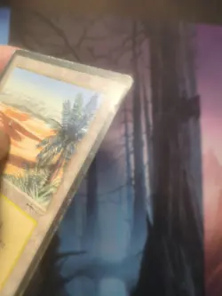 Oasis Arabian Nights Regular - Image 7