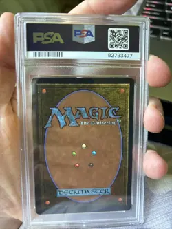 Kird Ape Arabian Nights Regular - Image 3