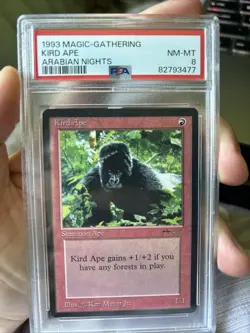 Kird Ape Arabian Nights Regular - Image 4