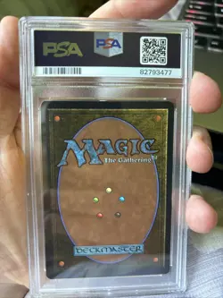 Kird Ape Arabian Nights Regular - Image 5