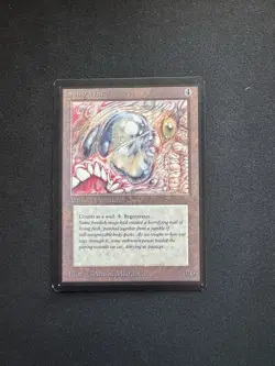 Living Wall Limited Edition - Beta Edition Regular - Image 4