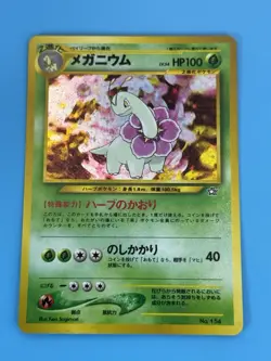 Meganium #154 Neo 1 Premium File Promo Japanese Pokemon TCG NM - Image 3