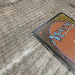 Magic The Gathering MTG Savannah Dual Land Revised 3rd Ungraded MP Good - Image 14