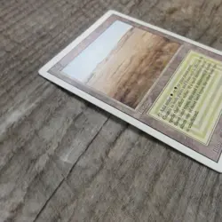 Magic The Gathering MTG Savannah Dual Land Revised 3rd Ungraded MP Good - Image 4