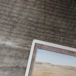 Magic The Gathering MTG Savannah Dual Land Revised 3rd Ungraded MP Good - Image 5