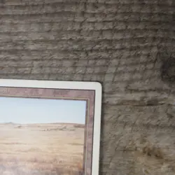 Magic The Gathering MTG Savannah Dual Land Revised 3rd Ungraded MP Good - Image 6