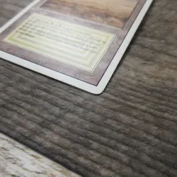 Magic The Gathering MTG Savannah Dual Land Revised 3rd Ungraded MP Good - Image 8