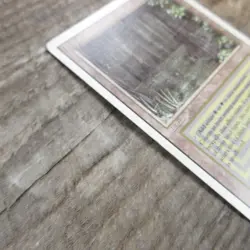 Magic The Gathering MTG Bayou Dual Land Revised 3rd Ungraded MP Good - Image 4