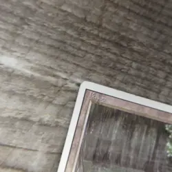 Magic The Gathering MTG Bayou Dual Land Revised 3rd Ungraded MP Good - Image 5