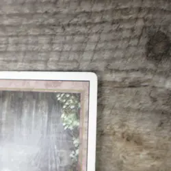 Magic The Gathering MTG Bayou Dual Land Revised 3rd Ungraded MP Good - Image 7