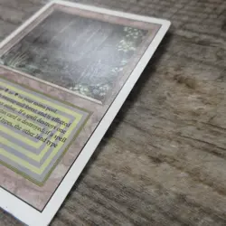 Magic The Gathering MTG Bayou Dual Land Revised 3rd Ungraded MP Good - Image 8