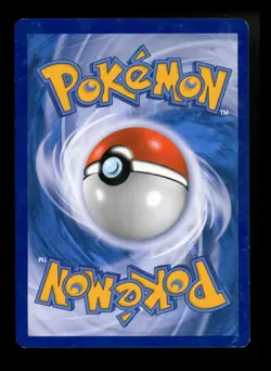 Pikachu 6/12 McDonalds 2019 Black Star Promo Holo Pokémon Card TCG - Image 2