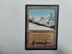 1 X MTG Revised  German BB Taiga Artist Signed --- N/M - Image 3
