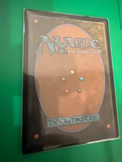 Enduring Curiosity (Showcase) (Fracture Foil) Duskmourn: House of Horror Foil - Image 7