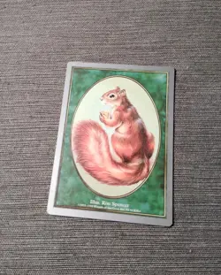Magic the Gathering - Unglued - Squirrel Token - Great Condition - MTG - Image 1