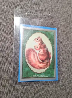 Magic the Gathering - Unglued - Squirrel Token - Great Condition - MTG - Image 9