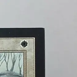 Consecrate Land x (1) MTG - Collectors' Edition (CE) - EX/NM - Image 5