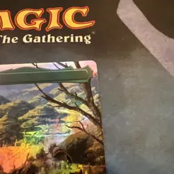 FOIL BORDERLESS The Shire ~ The Lord of the Rings [ NM ] [ Magic MTG ] - Image 3