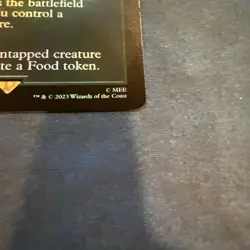 FOIL BORDERLESS The Shire ~ The Lord of the Rings [ NM ] [ Magic MTG ] - Image 5