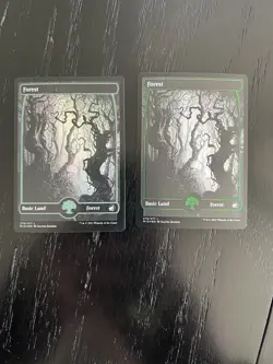 MTG - Forest X2 - 276 -  Innistrad: Midnight Hunt - 1 Foil / 1 Regular - Image 1