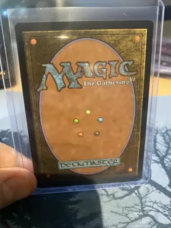 Season of Gathering (Borderless) Bloomburrow Regular - Image 2