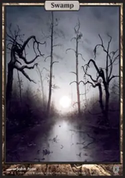 [1x] Swamp (138) Slight Play, English Unhinged MTG Magic - Image 1