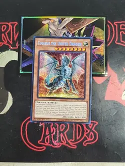 Yu-Gi-Oh TCG MP23-EN003 "Timaeus The United Dragon" 1st Prismatic SECRET RARE NM - Image 3