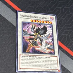 BLACKWING SILVERWIND THE ASCENDANT DP11-EN015  1ST ED  RARE YUGIOH - Image 5