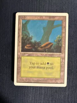 Magic The Gathering - Forest - Unlimited - Image 1
